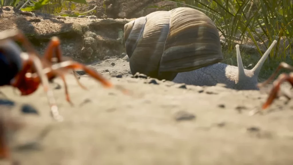 Les Fourmis - Escargot